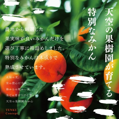天空の果樹園から届く そらせとか【訳あり】 (3kg)【C95-3】