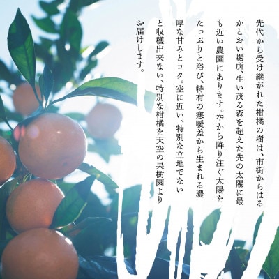 天空の果樹園から届く そらまどんな(3kg)【訳あり】【C95-5】