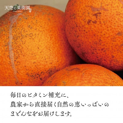 天空の果樹園から届く そらまどんな(3kg)【訳あり】【C95-5】