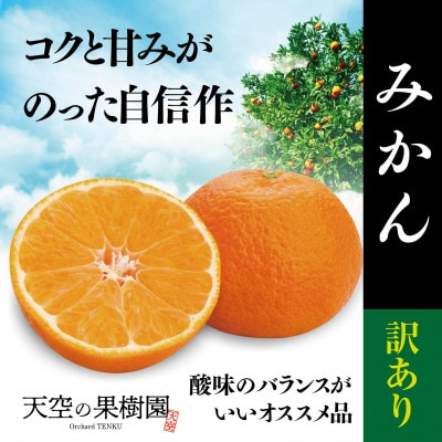 天空の果樹園から届くそらみかん (3kg)【訳あり】【A95-6】