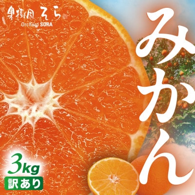 天空の果樹園から届くそらみかん (3kg)【訳あり】【A95-6】