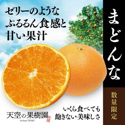 天空の果樹園から届く そらまどんな(3.5kg)【95-20】