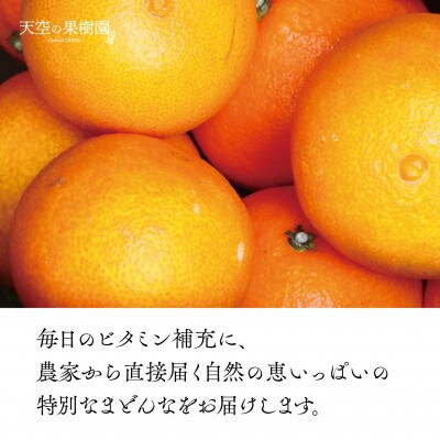 天空の果樹園から届く そらまどんな(3.5kg)【95-20】