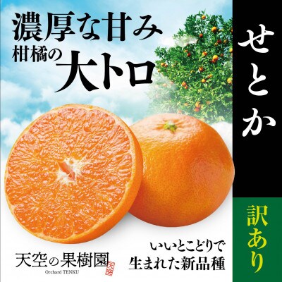 天空の果樹園から届く そらせとか【訳あり】(2kg)【95-10】 | 愛媛県