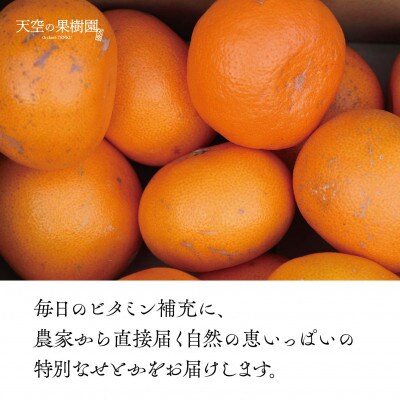 天空の果樹園から届く そらせとか【訳あり】(2kg)【95-10】 | 愛媛県