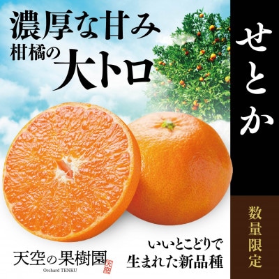 天空の果樹園から届く そらせとか(3kg)【95-19】