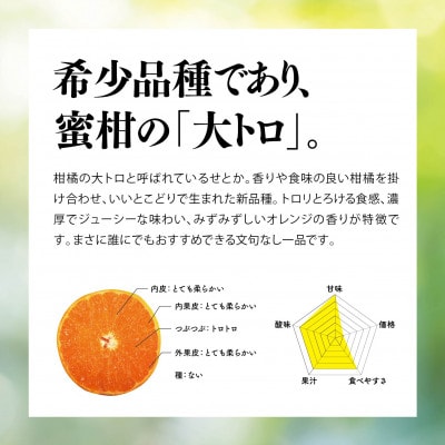 天空の果樹園から届く そらせとか(3kg)【95-19】