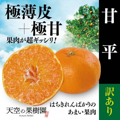 ゆき　訳あり紅ぷり8kg+甘平8kgぐるりん 天空の果樹園から届く そら甘平(3kg)【訳あり】【95-14】 | 愛媛県