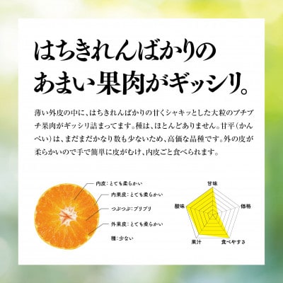 ゆき　訳あり紅ぷり8kg+甘平8kgぐるりん 天空の果樹園から届く そら甘平(3kg)【訳あり】【95-14】 | 愛媛県