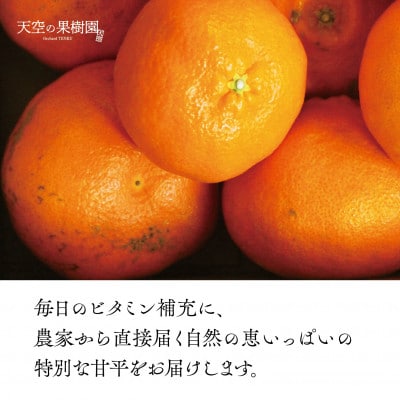 天空の果樹園から届く そら甘平(3kg)【訳あり】【95-14】 | 愛媛県