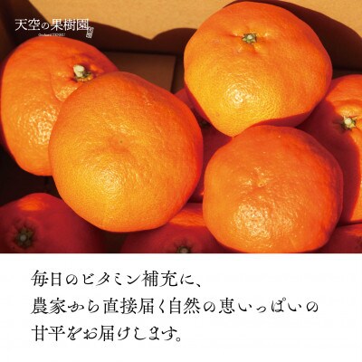 天空の果樹園から届く そら甘平 (3.5kg)【95-16】