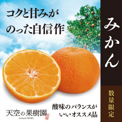 天空の果樹園から届く そらみかん (4.5kg)【95-18】