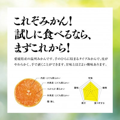 天空の果樹園から届く そらみかん (4.5kg)【95-18】