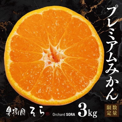 天空の果樹園から届く そらみかんプレミアムシリーズ (3kg)【95-21】