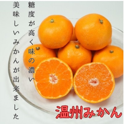 愛媛県八幡浜産 極甘みかん 3kg【C96-1】