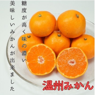 八幡浜産 温州みかん 5kg【D96-2】
