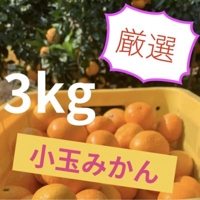 八幡浜産 温州みかん 小玉 3kg【C96-4】