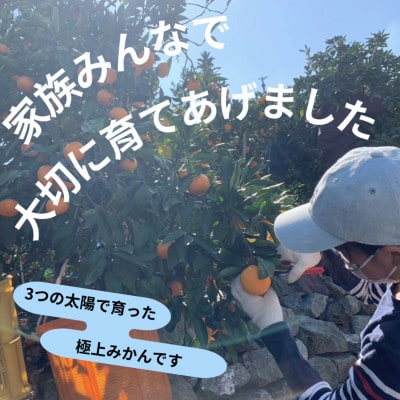 愛媛県八幡浜産 極甘みかん 小玉 3kg【C96-4】