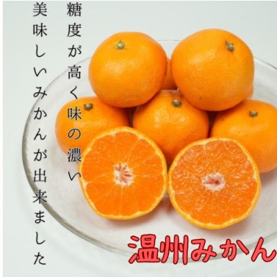 八幡浜産 温州みかん小玉　5kg【D96-5】