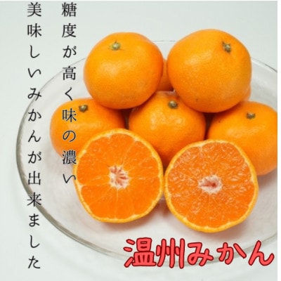 八幡浜産 温州みかん 10kg【G96-3】