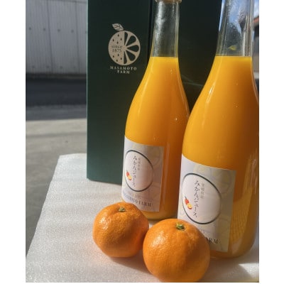 【正本農園】温州みかんジュース 720ml×2本【C96-7】