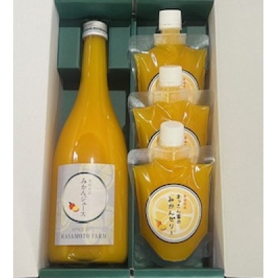 果汁100%贅沢みかんジュース(720ml×1本)&みかんゼリー(3個)のギフトセット【C96-9】