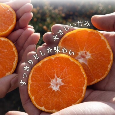 【砂糖・保存料・甘味料すべて不使用】愛媛みかんジュース「天凪」　720ml　4本【E98-2】