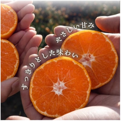 【砂糖・保存料・甘味料すべて不使用】愛媛みかんジュース「天凪」　720ml　2本【D98-3】