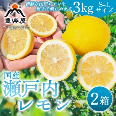 【防腐剤・ワックス不使用で安心】真穴産地直送の国産レモン 3kg×2箱(S~Lサイズ)【E98-6】