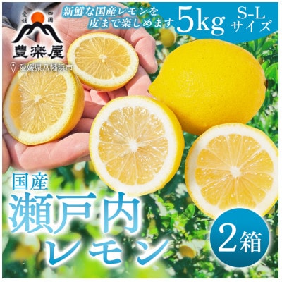 【防腐剤・ワックス不使用で安心】真穴産地直送のレモン　5kg×2箱(S~Lサイズ)【H98-10】
