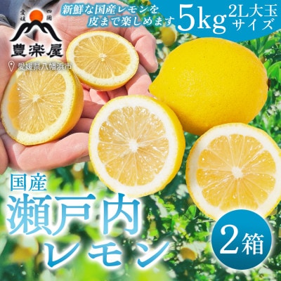 【防腐剤・ワックス不使用で安心】国産 瀬戸内レモン 5kg サイズ2L大玉 2箱【G98-11】