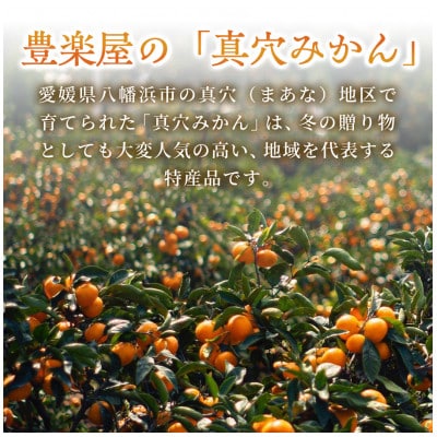 【農家直送でお届け!】果汁たっぷり真穴産みかん 5kg(2S~Sサイズ)【E98-15】