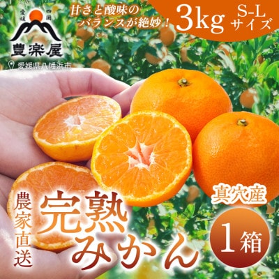 【農家直送でお届け!】果汁たっぷり真穴産みかん 3kg(S~Lサイズ)【D98-17】