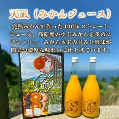 【毎月定期便】真穴産みかんジュース「天凪」　720ml　2本【98-36】全8回
