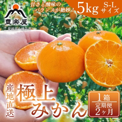 【毎月定期便】【2ヶ月】果汁たっぷり真穴産みかん 5kg サイズS~L 1箱【98-20】全2回