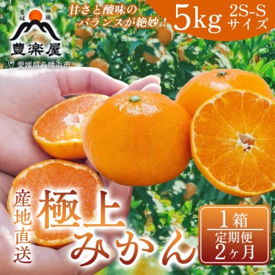 【毎月定期便】【2ヶ月】果汁たっぷり真穴産みかん 5kg 2S~S 1箱【98-21】全2回