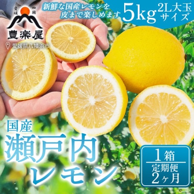 【毎月定期便】【2ヶ月】真穴産地直送の国産瀬戸内レモン 5kg 2L大玉 1箱【98-25】全2回