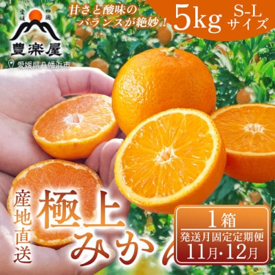 【発送月固定定期便】【農家直送】果汁たっぷり真穴産みかん 5kg(S~Lサイズ)【98-47】全2回