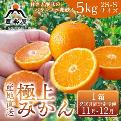 【発送月固定定期便】【農家直送】果汁たっぷり真穴産みかん5kg(2S~Sサイズ)【98-48】全2回