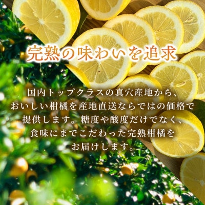【発送月固定定期便】【農家直送】果汁たっぷり真穴産みかん 3kg(S~Lサイズ)【98-49】全2回