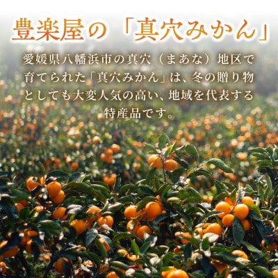 【発送月固定定期便】【農家直送】果汁たっぷり真穴産みかん 3kg(2S~S)【98-50】全2回