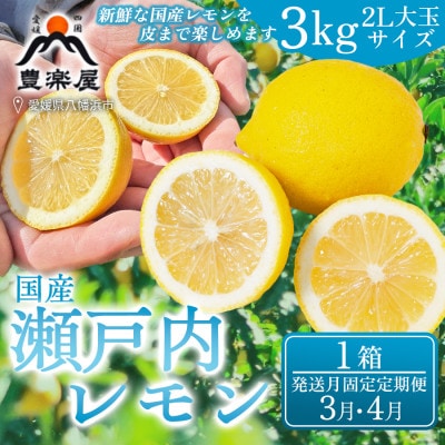 【発送月固定定期便】【防腐剤・ワックス不使用】瀬戸内レモン 3kg(2L大玉)【98-53】全2回