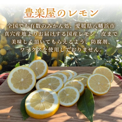 【発送月固定定期便】【防腐剤・ワックス不使用】瀬戸内レモン 3kg(2L大玉)【98-53】全2回