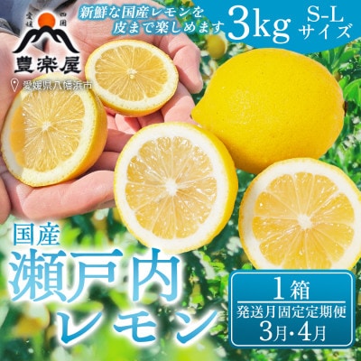 【発送月固定定期便】【防腐剤・ワックス不使用】瀬戸内レモン 3kg(S～L)【98-54】全2回