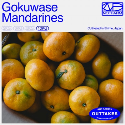 【OUTTAKES】訳あり 極早生みかん10kg 愛媛県産 Gokuwase【99-35】