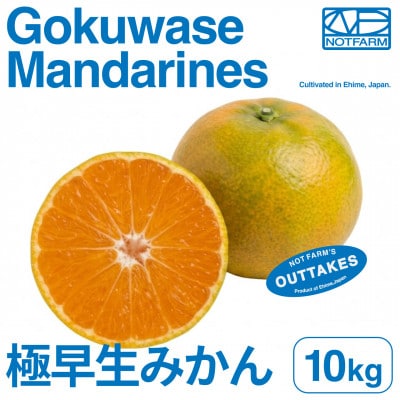 【美味しさそのまま】訳あり 極早生みかん10kg 愛媛県産 Gokuwase【99-35】