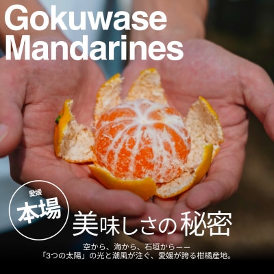 【美味しさそのまま】訳あり 極早生みかん10kg 愛媛県産 Gokuwase【99-35】