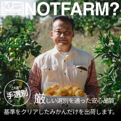 【美味しさそのまま】訳あり 極早生みかん10kg 愛媛県産 Gokuwase【99-35】