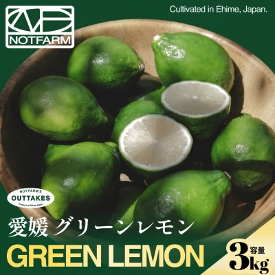 【見た目訳あり、味は本物】グリーンレモン 3kg【防腐剤・ワックス不使用】璃の香 【99-34】