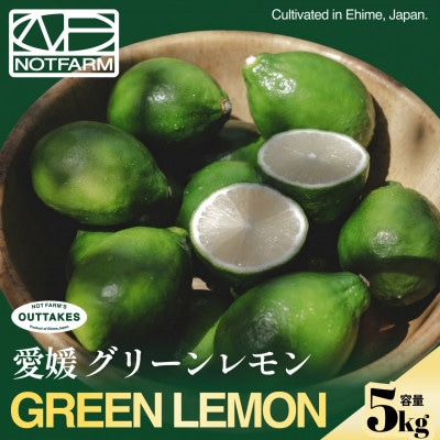 【見た目訳あり、味は本物】グリーンレモン 5kg【防腐剤・ワックス不使用】璃の香【99-33】